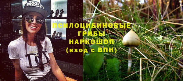 альфа пвп Нягань