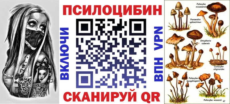 Псилоцибиновые грибы Psilocybine cubensis  Томск 